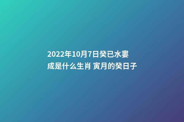 2022年10月7日癸已水婁成是什么生肖 寅月的癸日子-第1張-觀點-玄機派